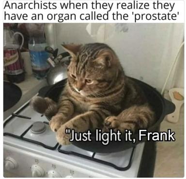 A tabby cat sits on a stovetop in reluctant resignation, captioned with anarchist political wordplay about an inevitable organ name.