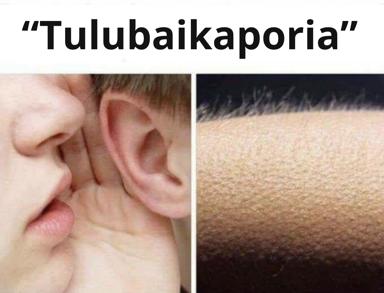 Two-panel comparison meme: a soft-focused child's face paired with a close-up of wheat texture, captioned with the invented word "Tulubaikaporia"—a whimsical visual pun on similarity.