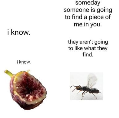Existential meme: a wasp and a fig meditate on hidden darkness and unwelcome self-recognition.