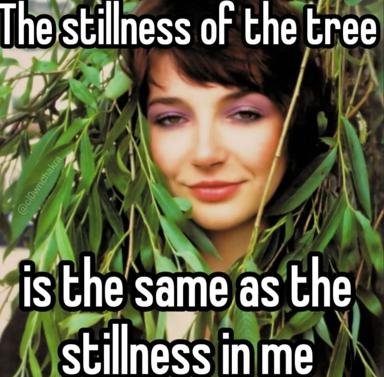 Woman framed by drooping green foliage, musing on spiritual stillness; a gentle riff on nature-mirroring templates.