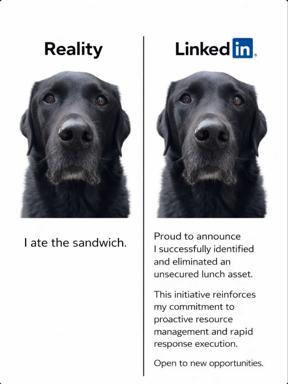 A black Labrador's confession goes corporate: caught eating a sandwich, he rewrites the crime in corporate jargon for a LinkedIn profile.