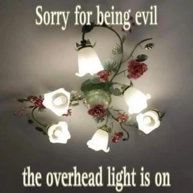 A wry deadpan meme about careless villainy: white bell flowers arranged with burgundy roses around a central lightbulb (hung upside-down), with the overhead light knowingly left on.