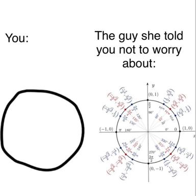 A two-panel comparison: a blank circle on the left labeled "You" versus an intricate trigonometric unit circle on the right labeled "The guy she told you not to worry about" — a meme about competence-driven insecurity.