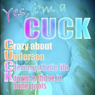 Neon acronym meme: "Yes, I'm a CUCK" (Crazy about Undersea Chemosynthetic life Known to thrive in brine pools) — an ironic self-own pairing obscure marine biology with maximalist early-2010s meme typography over a diffused underwater scene.