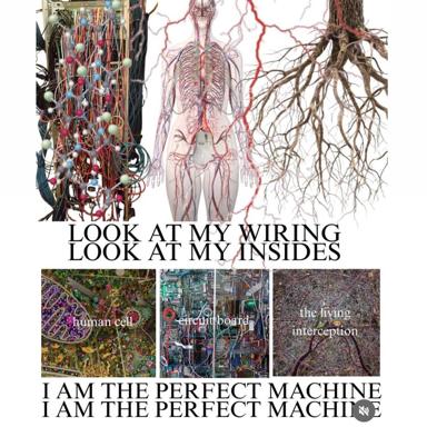 A systems-as-bodies metaphor: biological and technological diagrams (circulatory, vascular, circuit boards, roots, cell tissue, urban sprawl) arranged as three visual analogues with the assertion that all are equivalent perfect machines.