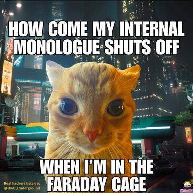 A wide-eyed orange-and-white cat in a cyberpunk cityscape, staring intently during a hyperfocus moment — reaction meme on losing thought mid-flow state