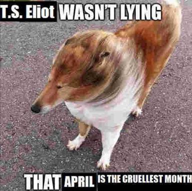A pensive dog standing on pavement, paired with T.S. Eliot's "The Waste Land" line about April's cruelty, conflating modernist poetry with canine melancholy.