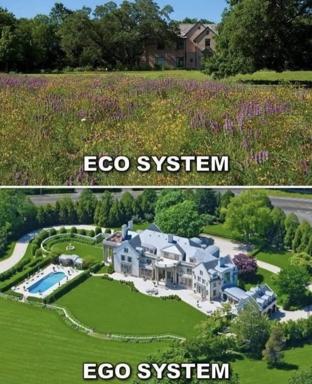 Two-panel meme contrasting ecological aesthetics: wildflower meadow home vs. palatial estate, both labeled "ECO SYSTEM" to expose the gap between green rhetoric and luxury consumption.