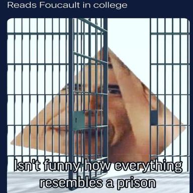 A person's skeptical expression framed by prison-like bars overlaid on a window grid—visual pun on Foucault's theories of institutional confinement in everyday spaces.