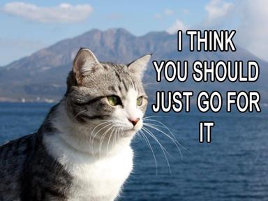 A confident tabby-and-white cat overlooking a Mediterranean sea and volcano offers sardonic motivational advice in bold letters, its yellow eyes and poised gaze conferring unearned wisdom.