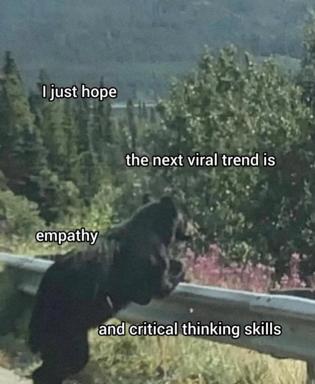 A bear gazes over misty mountains, hoping the next viral trend will be empathy and critical thinking skills.