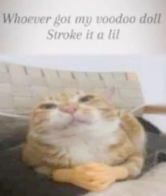 Cream-coloured cat with pinched, unimpressed expression, captioned with AAVE slang about a voodoo doll; a mid-2010s reaction-image meme.