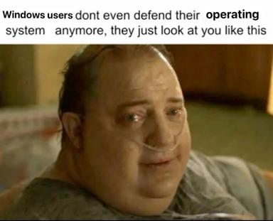 A reaction-image joke: Windows users have given up verbal defenses and now just judge you silently with this exact exhausted expression.