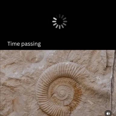 A loading spinner transitions to a fossil ammonite, illustrating the passage of time from milliseconds to geological ages.