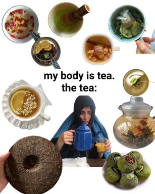 Tea ceremony vs. chaotic reality: a self-aware meme about aspiration and the absurd abundance of actual tea-drinking habits.