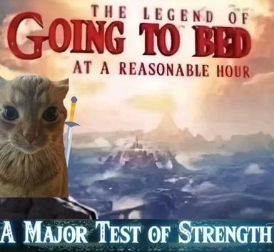 A cat wields a fantasy sword against an epic-landscape backdrop, captioned as though going to bed on time were an LotR-grade quest.