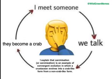 Expanding-brain meme about the unstoppable urge to lecture people on carcinisation when they mention crabs.