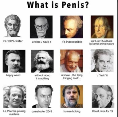 A 12-panel meme grid applying philosophical definitions to an explicit concept, pairing thinkers from Plato to contemporary figures with deadpan pseudo-theoretical captions.