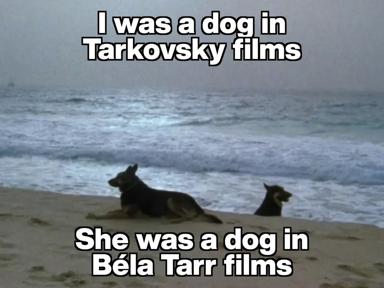 Dogs on a beach: a comparison of Tarkovsky's and Béla Tarr's canine casting. One speaks to transcendence, the other to existential dread.
