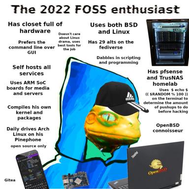 A character profile meme depicting the stereotypical 2022 FOSS enthusiast as a yellow frog wearing an Adidas cap, surrounded by humorous attributes: self-hosting services, multiple OS allegiances (BSD/Linux), obscure hardware (Pinephone, server racks), and absurdist programming rituals.