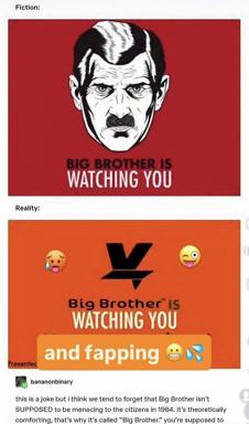 Two-panel macro contrasting dystopian fiction (Orwell's 1984 surveillance) with crude reality (surveillance that's chaotic and fapping): a joke about fear versus actual institutional incompetence.