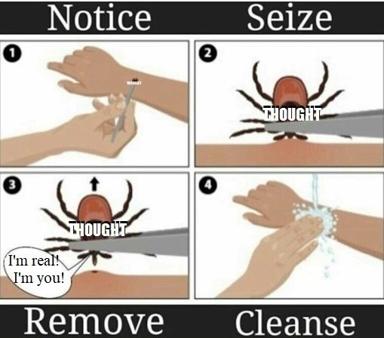 A four-panel instruction meme on managing intrusive thoughts, styled as a clinical diagram showing hands attempting to remove and cleanse a thought character.
