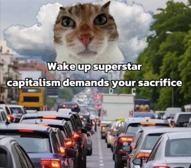 Close-up of a cat's face superimposed over a gridlocked highway; existential labour commentary masquerading as cosmic awakening.
