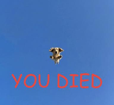 A tiny dog floating against a bright blue background with red "YOU DIED" text, mimicking Dark Souls' death screen in absurdist form.