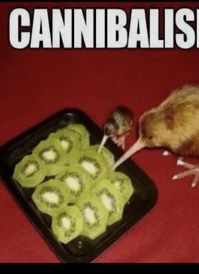 A skeletal creature lusts after a tray of sliced kiwi fruit under the banner "CANNIBALISM"—grotesque appetite meets absurd innocence.
