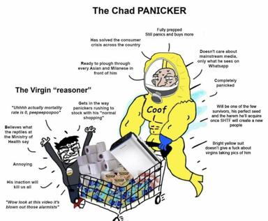 A Chad vs. Virgin meme depicting two pandemic responses: a rational "Chad" in a hazmat suit who's prepped and unaffected, versus a panicked "Virgin" who denies the crisis — sharp sociological satire on collective delusion during crisis.
