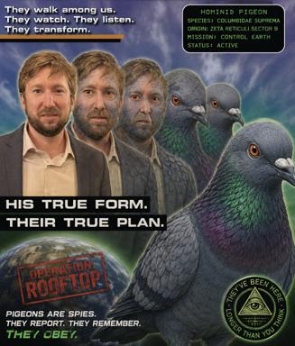 A four-part conspiracy meme showing three human faces transforming into pigeons, overlaid with fake intelligence-agency dossiers claiming pigeons are alien surveillance drones masquerading as humans. "THIS IS REAL DROOGI" cites Clockwork Orange to frame the joke as spoiler-level revelation.