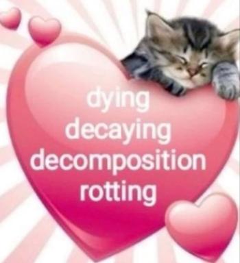 A tabby kitten lying on a giant hot-pink glossy heart surrounded by smaller hearts, with text reading "dying decaying decomposition rotting" — cute aesthetic masking dark introspection.