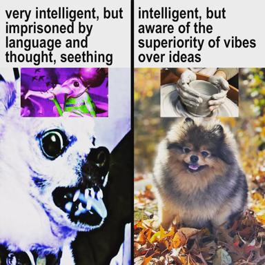 A two-panel contrast meme on intellectual identity: left panel shows an unsettling insectoid creature with violet neon and a gaping mouth (very intelligent but imprisoned by language); right panel shows serene ceramics and a fluffy Pomeranian in autumn leaves (intelligent but prioritizes vibe aesthetics).