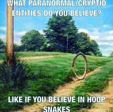 A pastoral landscape with an impossible cryptid: the "hoop snake," rendered as a mysterious loop resting in the grass, using the paranormal-belief endorsement meme format.