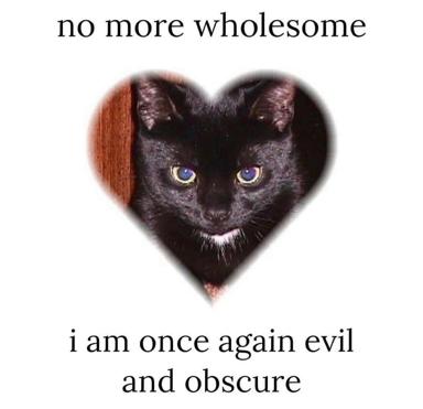 Black cat in a heart frame confesses to moral ambiguity with deadpan intensity—a sweet-and-sinister riff on devotional imagery.