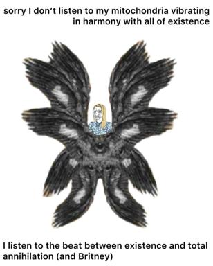 An existential joke about personal alignment, illustrated as a small woman's face nestled in the centre of a massive dark cosmic entity—suggesting she's more attuned to chaos than spiritual harmony.