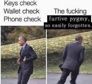 A split-screen joke about forgetting the obvious: keys, wallet, phone—and the furtive pygmy from Elder Scrolls Oblivion.