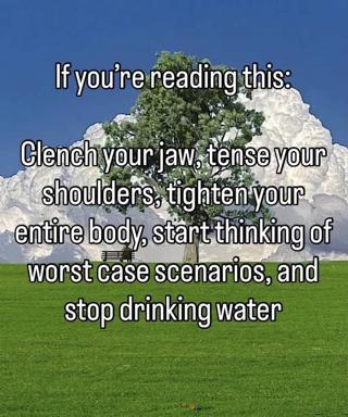 A surreal anxiety-inducing meme using a pastoral landscape to illustrate a spiraling stress checklist.