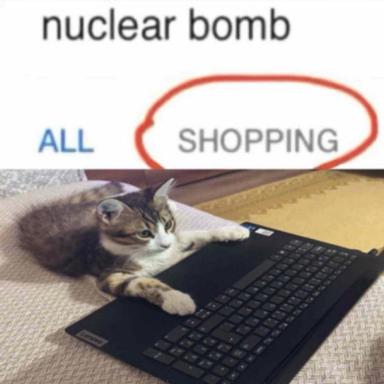 A tabby cat at a laptop keyboard embodies the chaos of "all shopping" during a "nuclear bomb" Black Friday, deadpan feline indifference to retail apocalypse.