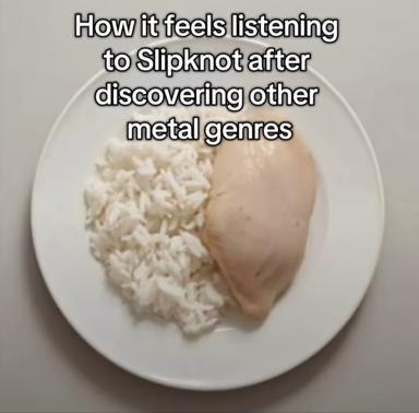 A divided white bowl metaphorically compares Slipknot fandom to discovering other metal subgenres — rice vs. cauliflower representing the stark contrast.