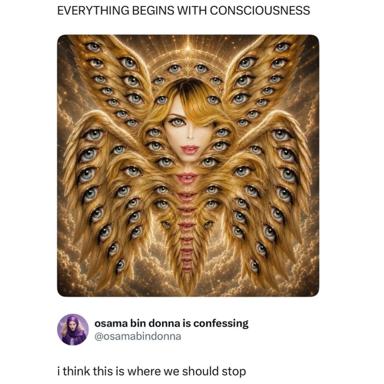 Recursive mandala of eyes and golden plumage around a woman's face, haunted by a deadpan caption about consciousness and limits.