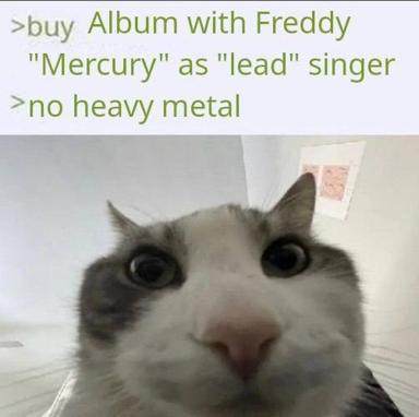 A cat's look of scandal, paired with a greentext joke about Freddie Mercury and Queen's genre fluidity.