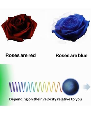 Doppler shift meme: "Roses are red, roses are blue—depending on their velocity relative to you." Combines the clichéd poem opening with relativistic physics.