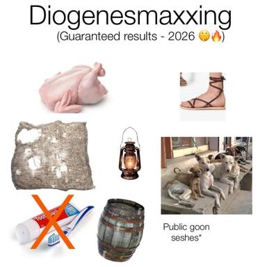 Internet meme satirizing gym-culture optimization ("maxxing") through absurdist rustic and biological objects, culminating in feral dogs as "public goon seshes"