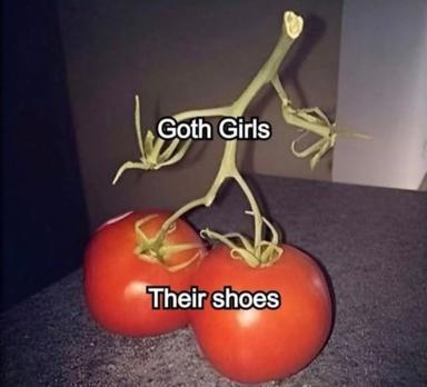 A wilting tomato plant balanced on red tomatoes labeled as "goth girls" and "their shoes" — a deadpan visual joke about thin, dramatic legs.
