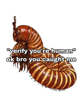 A pill bug fails a humanity test: "verify you're human" / "ok bro you caught me" — a CAPTCHA joke about indistinguishable organisms.