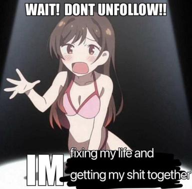 A reaction meme where an anime girl desperately pleads not to be unfollowed while admitting she's working on getting her life together.