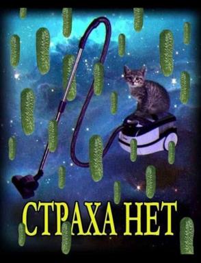 Cat in a space suit on a starship, pointing a laser at floating pickles against a cosmic backdrop. Surreal absurdist reassurance.