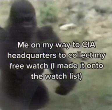 Blurry Bigfoot-footage still with deadpan text: "Me on my way to CIA headquarters to collect my free watch (I made it onto the watch list)"—absurdist humor about imagined surveillance notoriety.