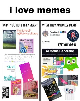 A two-panel meme contrasting academic meme studies with the chaotic reality of actual internet meme culture.